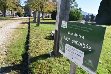 La fin des produits phytosanitaires pour l'entretien du cimetière d'Ambert (Puy-de-Dôme)