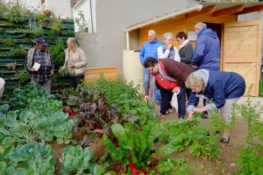 Le jardin participatif du quartier Denière-hôpital de Vichy a bien germé