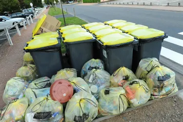 Des containers pour faire des économies sur les sacs plastiques