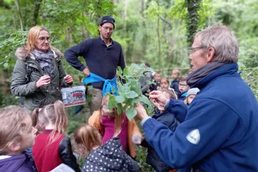 Les écoliers associés à un projet éco-citoyen pour planter des arbres utiles pour favoriser la rencontre à Joze (Puy-de-Dôme)