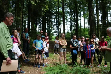 Bol d’air en forêt pour les élèves de Jean-Monnet
