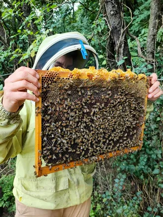 2025, une bonne année pour le miel dans le Cher - Le Berry Républicain
