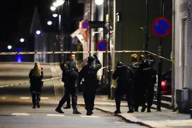 Attaque à l'arc en Norvège : le suspect est un converti à l'islam qui se serait radicalisé