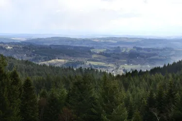 Le Parc naturel régional (PNR) de Millevaches en Limousin vu par son nouveau président Philippe Brugère