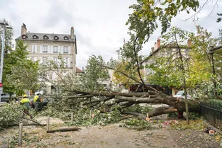Des dégâts à Aurillac et dans le nord du Cantal, après le passage de la tempête Barbara, une dizaine de routes coupées