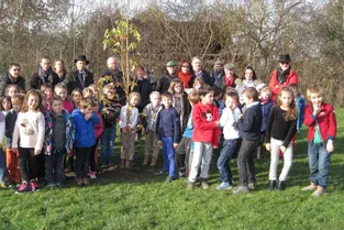 Les écoliers plantent un arbre de la laïcité