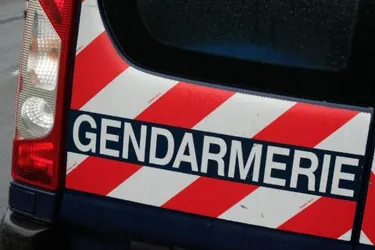 Un couple d'Ambert (Puy-de-Dôme) soupçonné de violences habituelles sur ses quatre filles âgées de 2 ans et demi à 15 ans