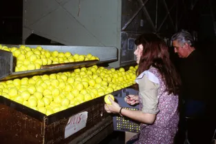 Cent ans de Dunlop à Montluçon : quand l'usine produisait les balles de tennis pour Roland-Garros