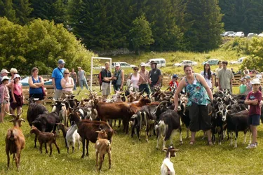 Ce dimanche 17 juillet aura lieu la 19e édition de la fête de la chèvre du Massif Central à Saint-Front