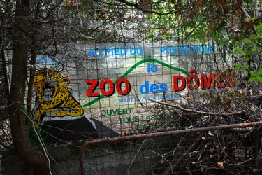 Le zoo des Dômes, abandonné au pied du puy de Dôme, n'existera plus dans quelques mois