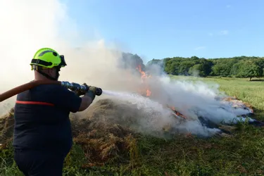 Un feu de broussailles à proximité de la RN 145 à Fleurat