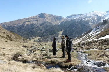 Les chasseurs du Puy-de-Dôme tracent les chamois du Sancy au GPS pour une étude scientifique