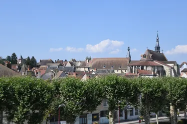 Quelles sont les listes en lice sur le canton de Saint-Pourçain-sur-Sioule ?