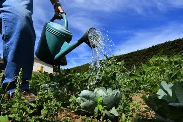 Restrictions d'eau dans deux nouvelles zones en Corrèze