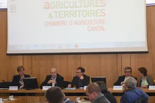 La chambre d'agriculture du Cantal revient sur les difficultés financières du secteur