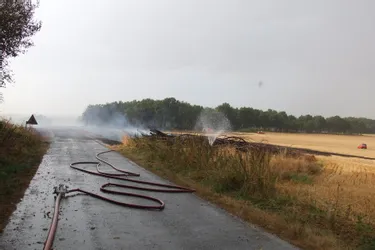 1.000 tonnes de bois partent en fumée à Leyrat (Creuse)