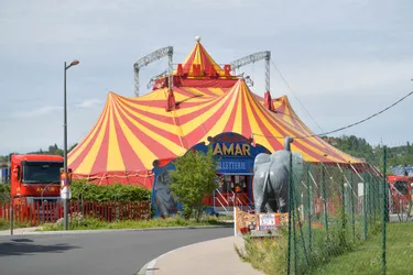 Implantation illégale d'un cirque à Cusset (Allier) : un arrêté municipal interdit formellement l'ouverture au public