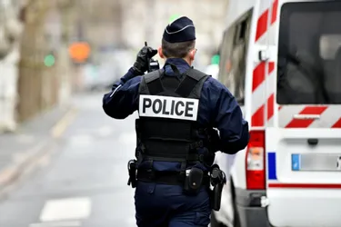 Un trentenaire soupçonné de trafic de cannabis arrêté à Brive (Corrèze) et incarcéré en attendant d'être jugé