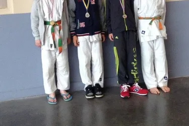 Quatre podiums au circuit régional de judo