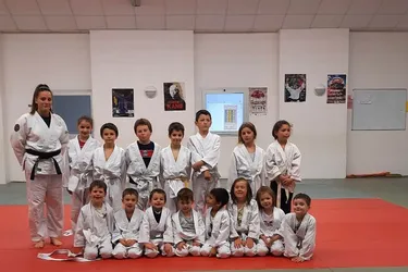 Une quinzaine de petits judokas sur le tatami