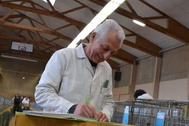 Les animaux de l'Exposition nationale avicole de Brioude sous l'oeil avisé des juges