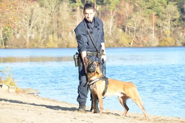 Deux policiers de Clermont-Ferrand à l’origine d’une proposition de loi visant à protéger chiens et chevaux