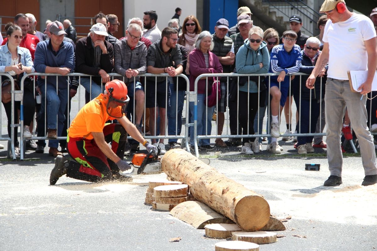 Concours de bûcheronnage à Saugues : rivalité entre professionnels et ...