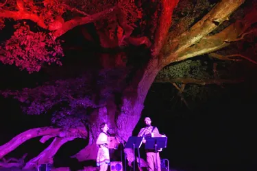 Randonnée, contes et musique autour du gros chêne