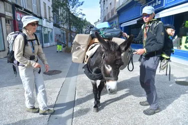 Entre Tulle et Cornil, rando pour l'âne Sancho (Corrèze)