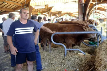 Vitrine du travail des agriculteurs, le Festival de l'élevage de Brive se tient dans un contexte difficile