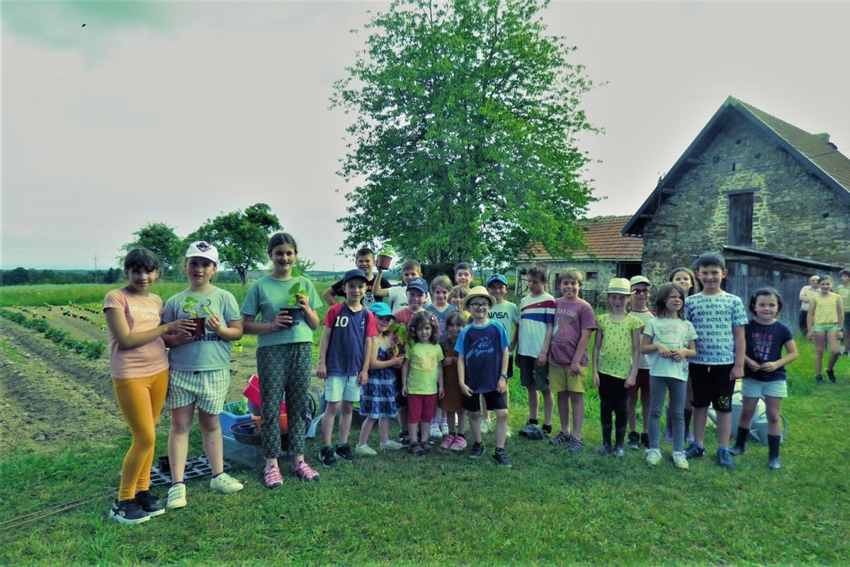 Ensemble D'outils De Jardinage Pour Enfants : Seau À Eau Pour Enfants Avec Ensemble D'outils De - 8