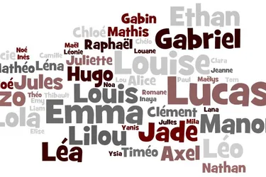 Quels prénoms ont été le plus donnés en 2015 dans votre département ?