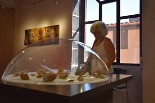 Avec "Le tranchant au Paléolithique", le Musée de la Coutellerie de Thiers cherche les ancêtres du couteau