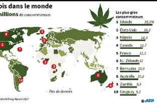 Le Canada est le deuxième pays à légaliser le cannabis