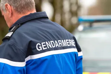 Automobilistes hors de contrôle, détenu à peine libéré de retour en garde à vue... Les faits divers en Auvergne en bref