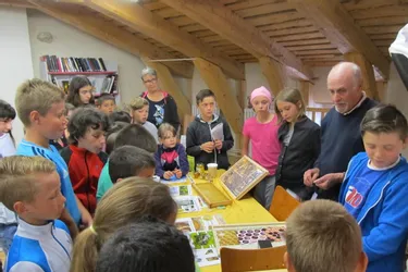 Les écoliers ont découvert l’exposition consacrée aux abeilles