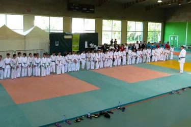Le Judo-Club Vicomtois fête ses 40 ans