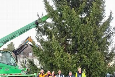 Un sapin de Noël de 13 mètres de haut