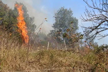 Ecobuage non maîtrisé en Creuse : 5 hectares de broussailles et de sous-bois brûlés à Saint-Victor-en-Marche