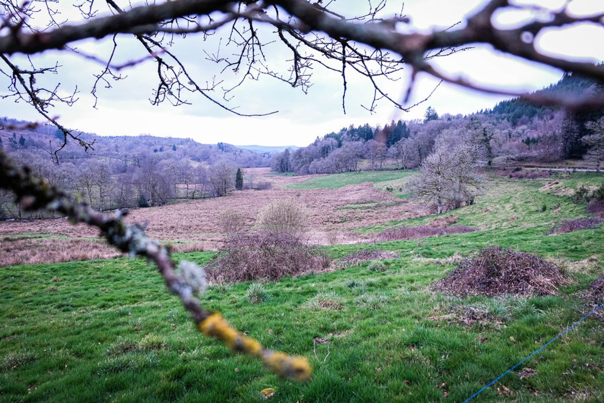 Sur le plateau de Millevaches, on anticipe l’avenir agricole et environnemental en cultivant le lien entre les hommes
