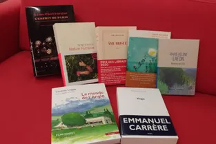 Les librairies indépendantes de Vichy, A La Page et Carnot, vous conseillent une série de livres à offrir