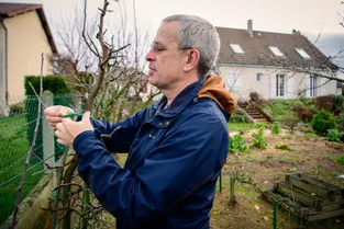 Comment entretenir ses arbres fruitiers l'hiver : les conseils d'un spécialiste de Montluçon (Allier)
