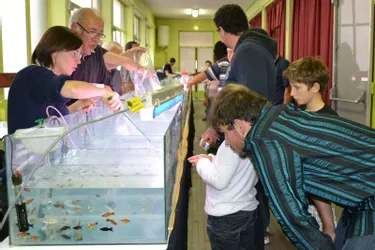 La 17e rencontre régionale d’aquariophilie était organisée, ce week-end, à la Maison des jeunes