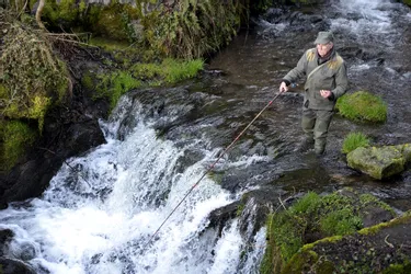 Ouverture de la pêche : où taquiner la truite en eaux claires dans le Puy-de-Dôme ?