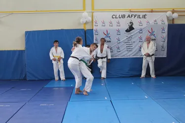 Judo : des séances virtuelles faute de tatamis