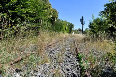 Un projet de voie verte sur l'ancienne ligne Montluçon - Eygurande bientôt sur les rails ?