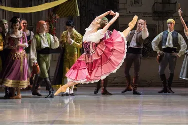 Le ballet "Don Quichotte", initialement programmé le 20 février, à l'Opéra de Vichy, est annulé