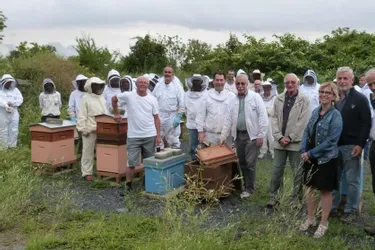 Des ruches pédagogiques installées sur la commune