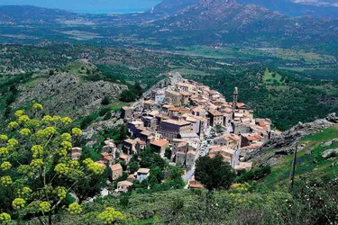 Au palmarès des destinations préférées des Corréziens cet été, la Corse est reine