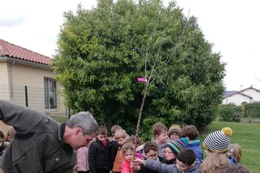 Les enfants plantent des arbres fruitiers